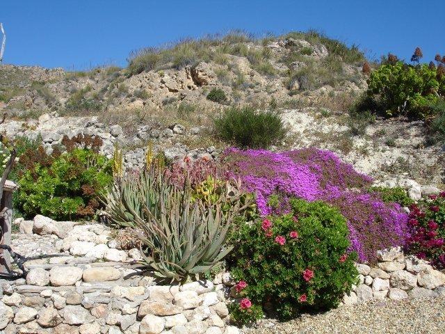 Almond Reef Casa Rural Los Alias Room photo